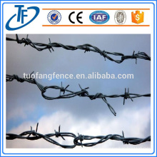 High Quality Anping Barbed Wire Mesh Fence (China Supplier)